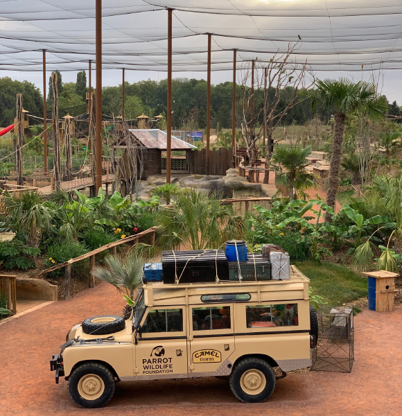 vue passerelle lodge parrot world v2