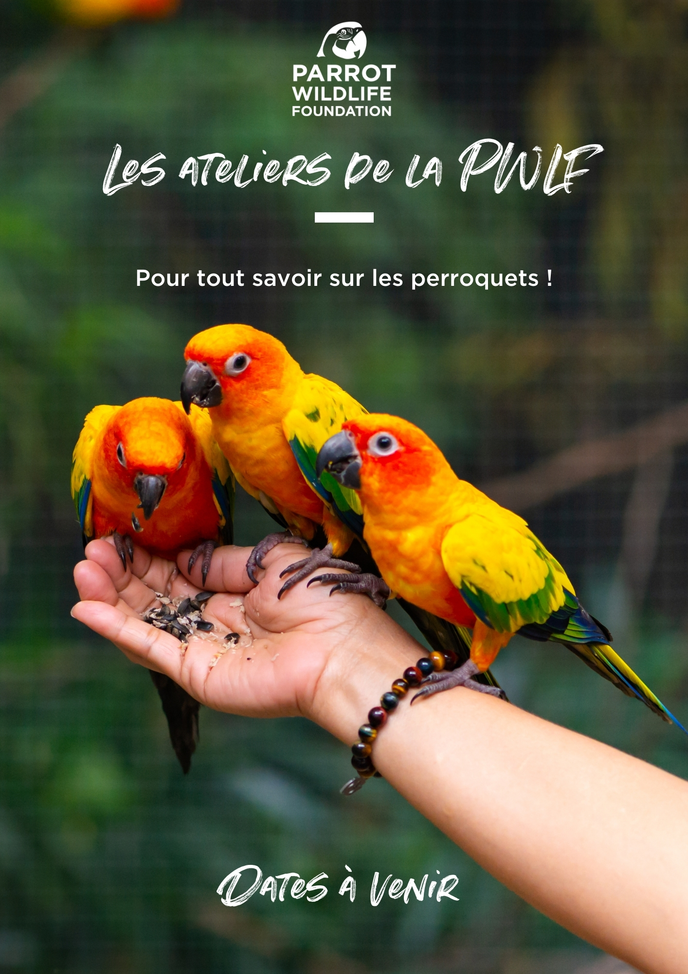 Atelier Vol libre (2)