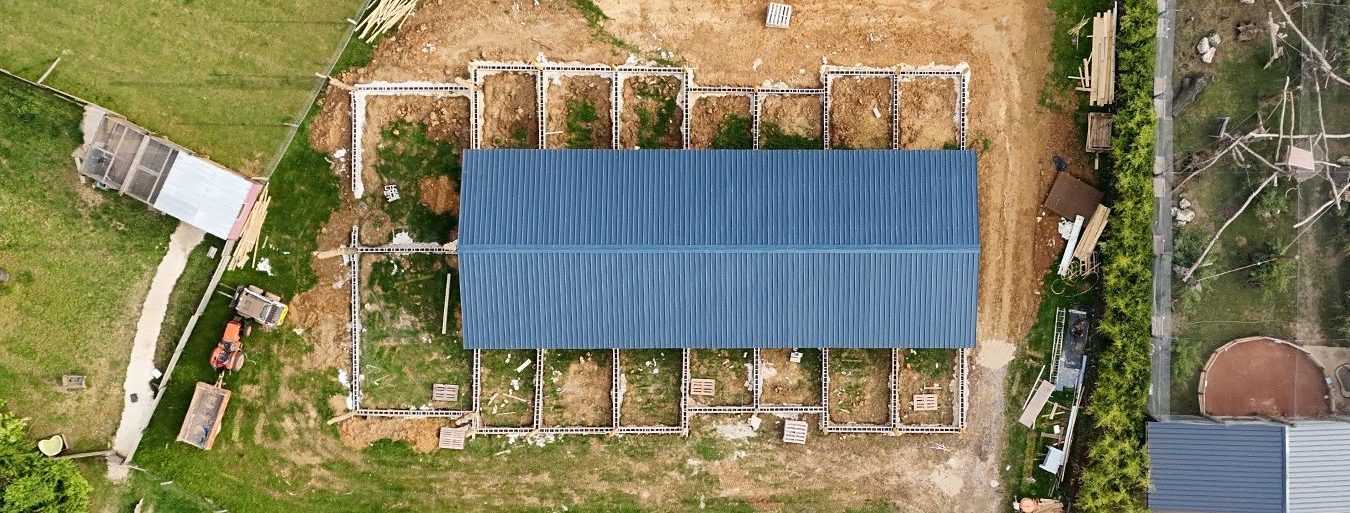 Refuge pour perroquets Parrot Wildlife fondation
