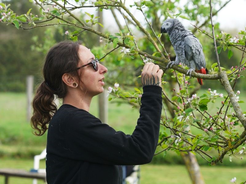 Volière récréative parrot wildlife fondation