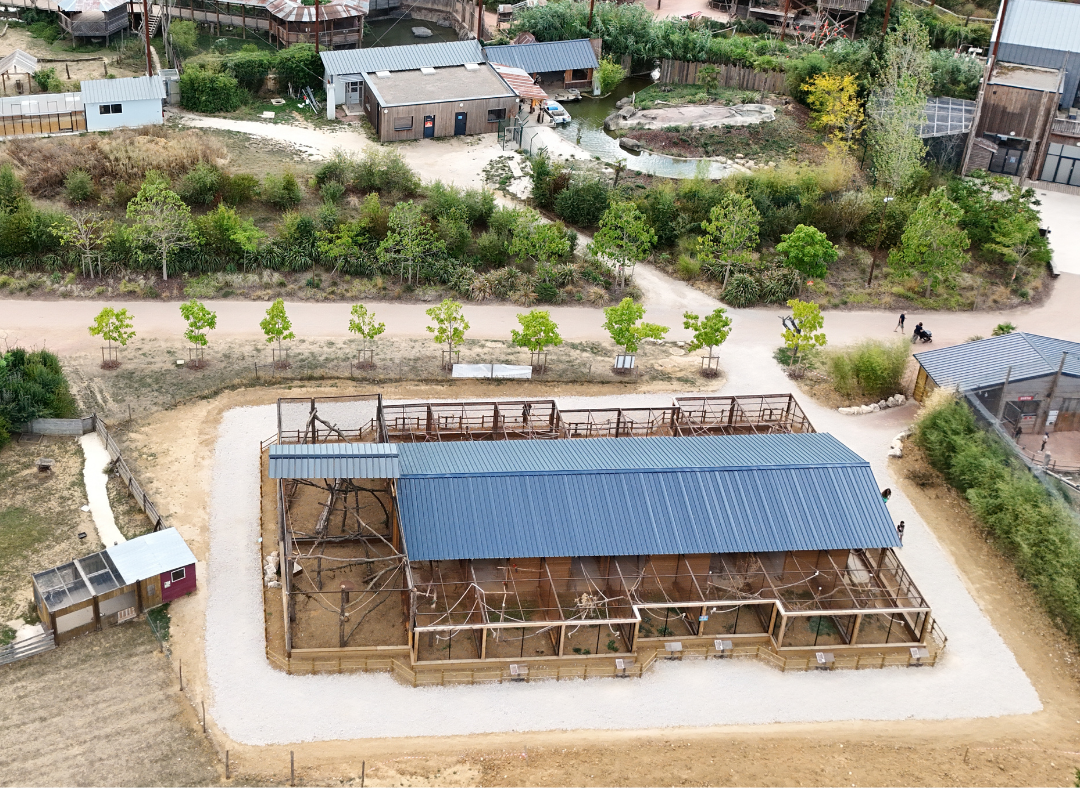 Le sanctuaire de la Parrot Wildlife Foundation