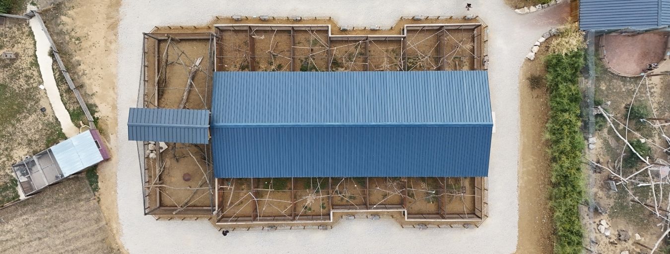 Refuge pour perroquets Parrot Wildlife fondation